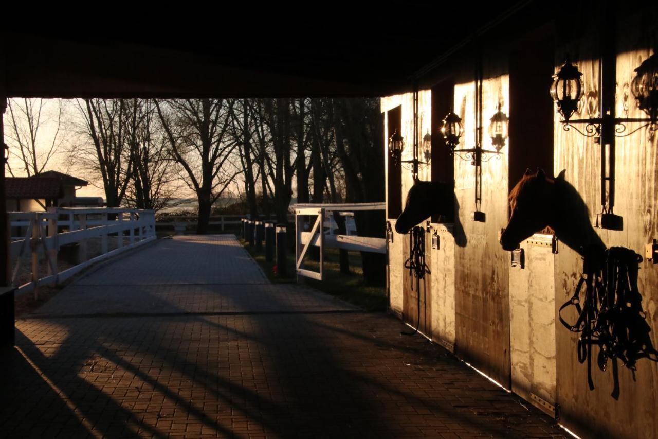 Luxus Resort Ruegen Residenz Kubitzer Bodden Rambin Exterior photo